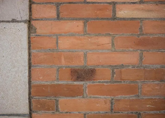 Coast Keyweek Duplex In The Center With Sea View דירה